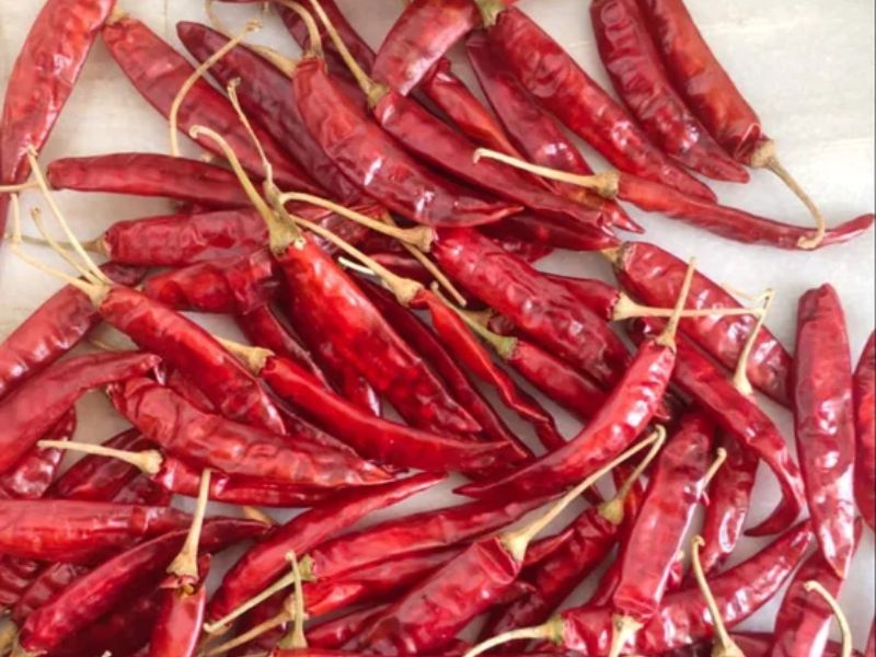 Red Chilli 334 by Ravina Impex